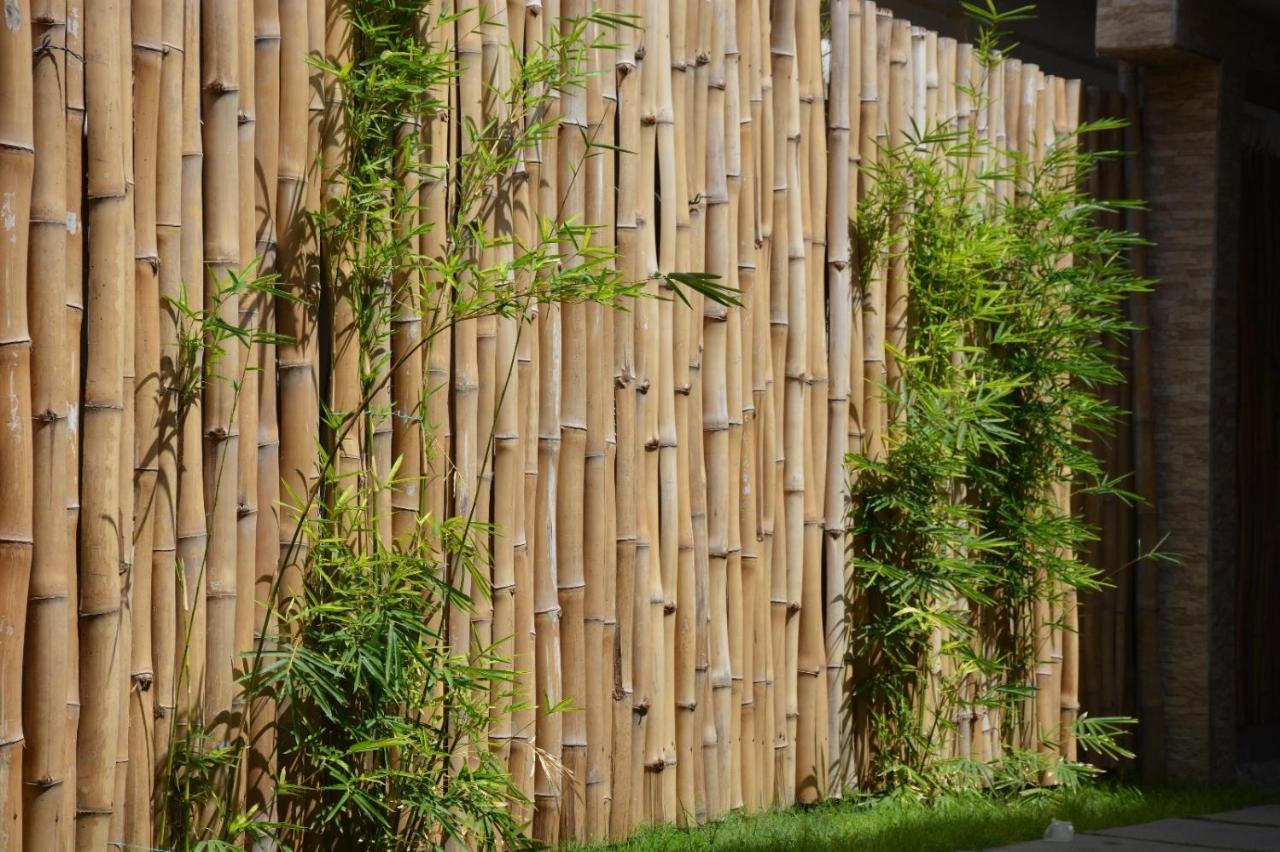Bamboo Lodge - La Criquet 'Event' 洛美 外观 照片